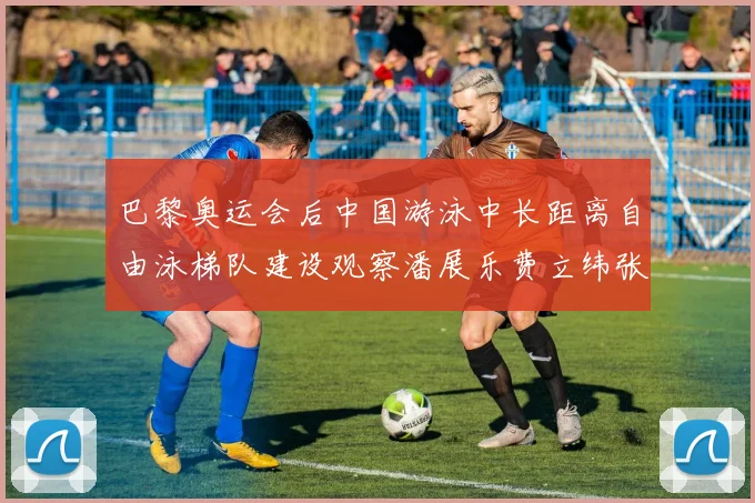 巴黎奥运会后中国游泳中长距离自由泳梯队建设观察潘展乐费立纬张展硕领衔