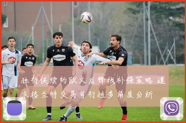 独行侠续约欧文后锋线补强策略 追求格兰特交易可行性多角度分析
