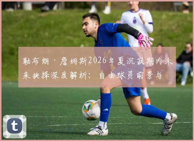 勒布朗·詹姆斯2026年夏沉寂期内未来抉择深度解析:自由球员前景与湖人重建迷局