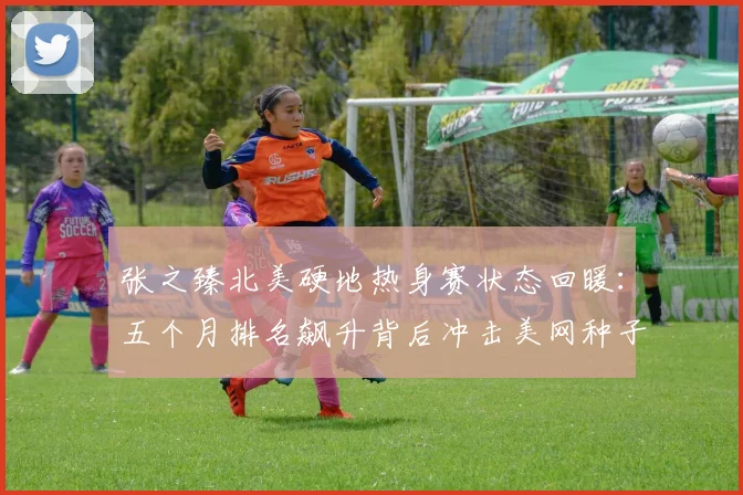 张之臻北美硬地热身赛状态回暖：五个月排名飙升背后冲击美网种子席位深度解读